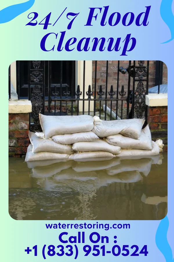 24/7 Flood Cleanup in Eastman, GA